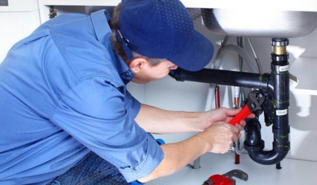 local SEO services in Columbia, SC